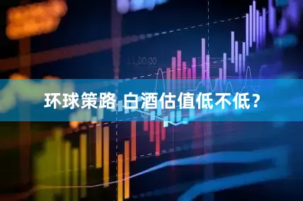 环球策路 白酒估值低不低？