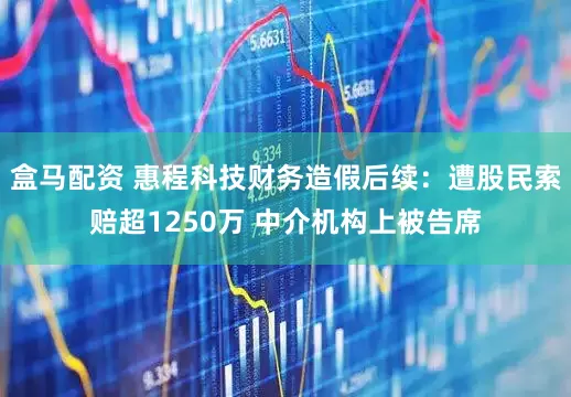 盒马配资 惠程科技财务造假后续：遭股民索赔超1250万 中介机构上被告席