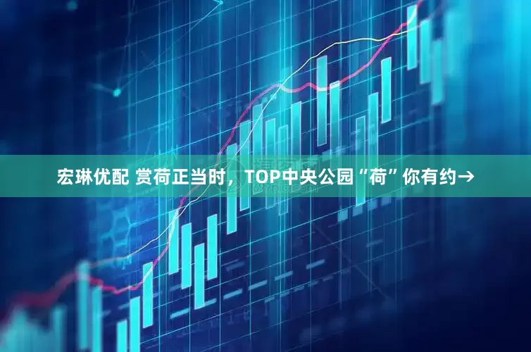 宏琳优配 赏荷正当时，TOP中央公园“荷”你有约→