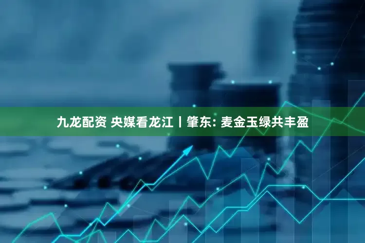 九龙配资 央媒看龙江丨肇东: 麦金玉绿共丰盈